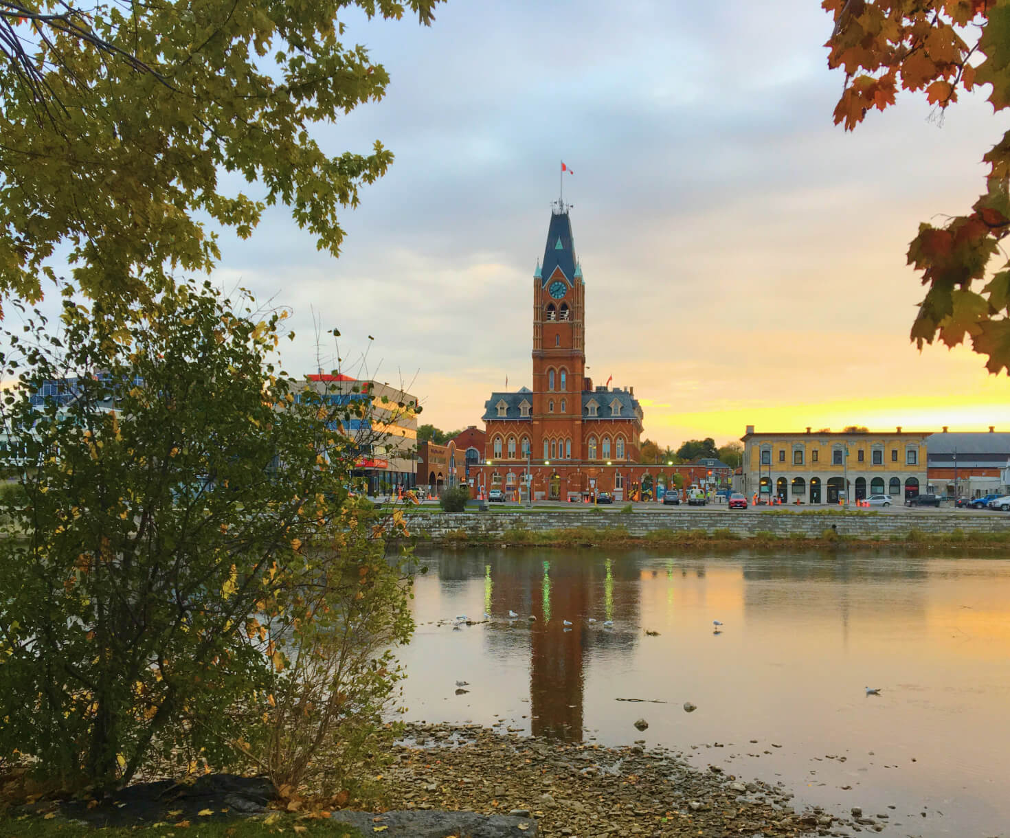 Water Treatment Services in Belleville